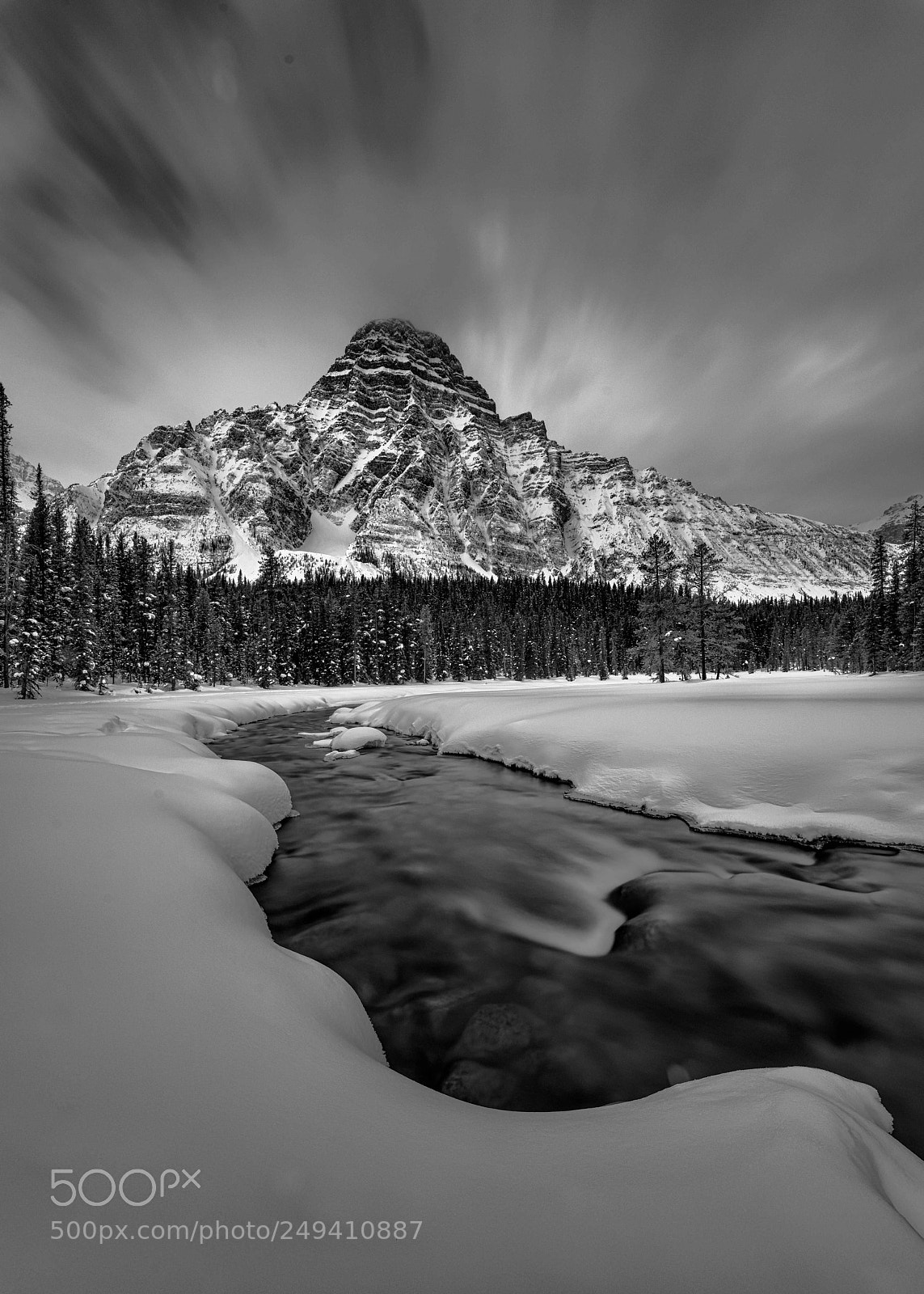 Nikon D810 sample photo. Black & white, canada photography