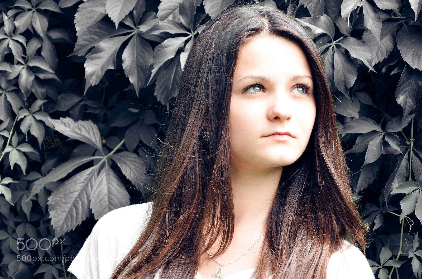 Nikon D5100 sample photo. Untitled photography