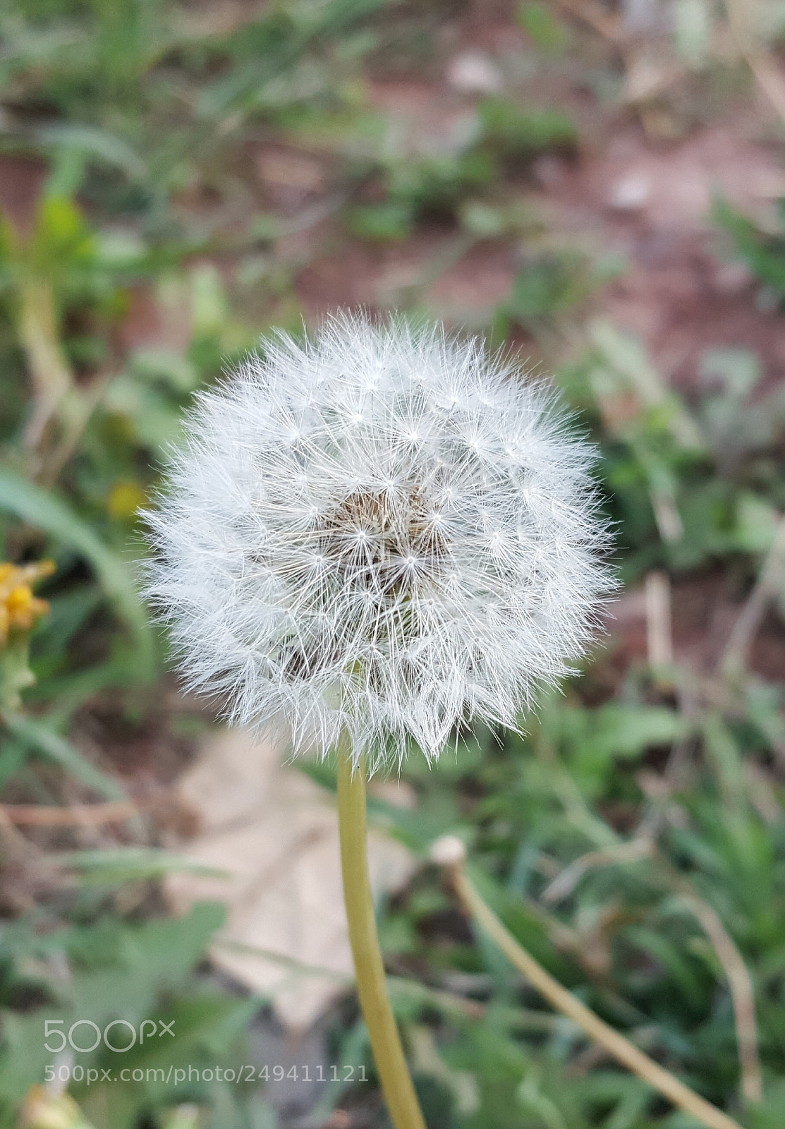 Samsung Galaxy Note5 sample photo. Untitled photography