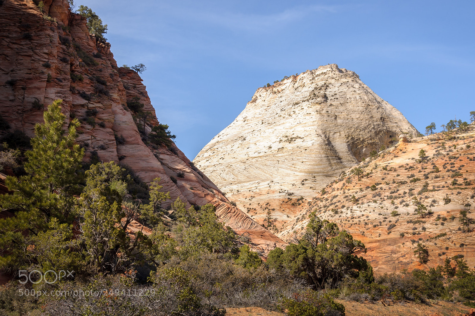 Nikon D90 sample photo. Zion national park 1 photography