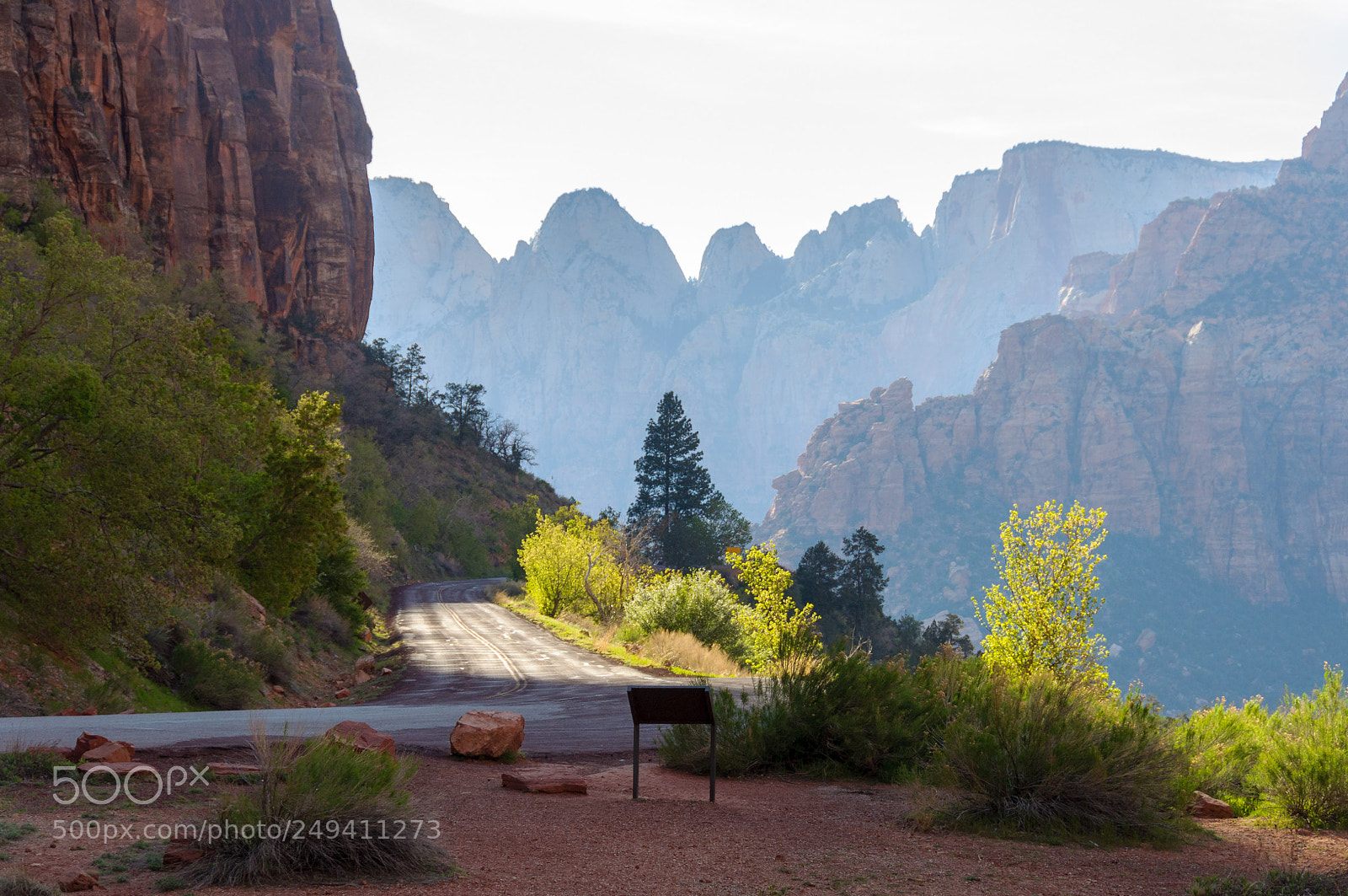 Nikon D90 sample photo. Zion national park 2 photography