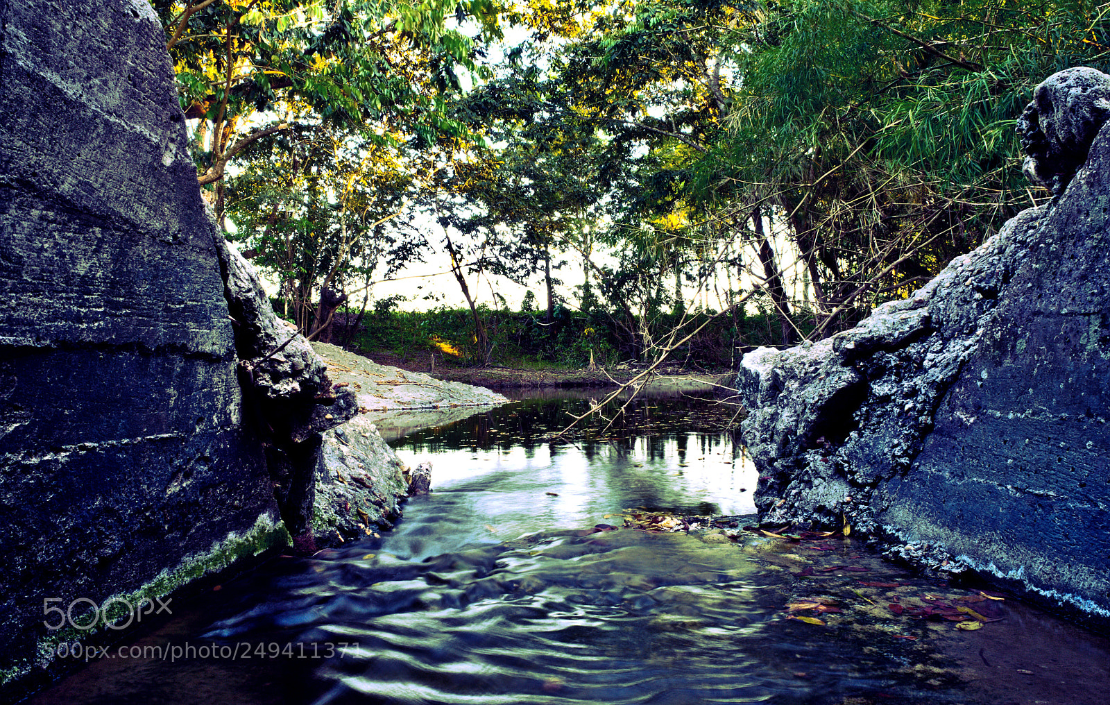 Nikon D7200 sample photo. Mood photography