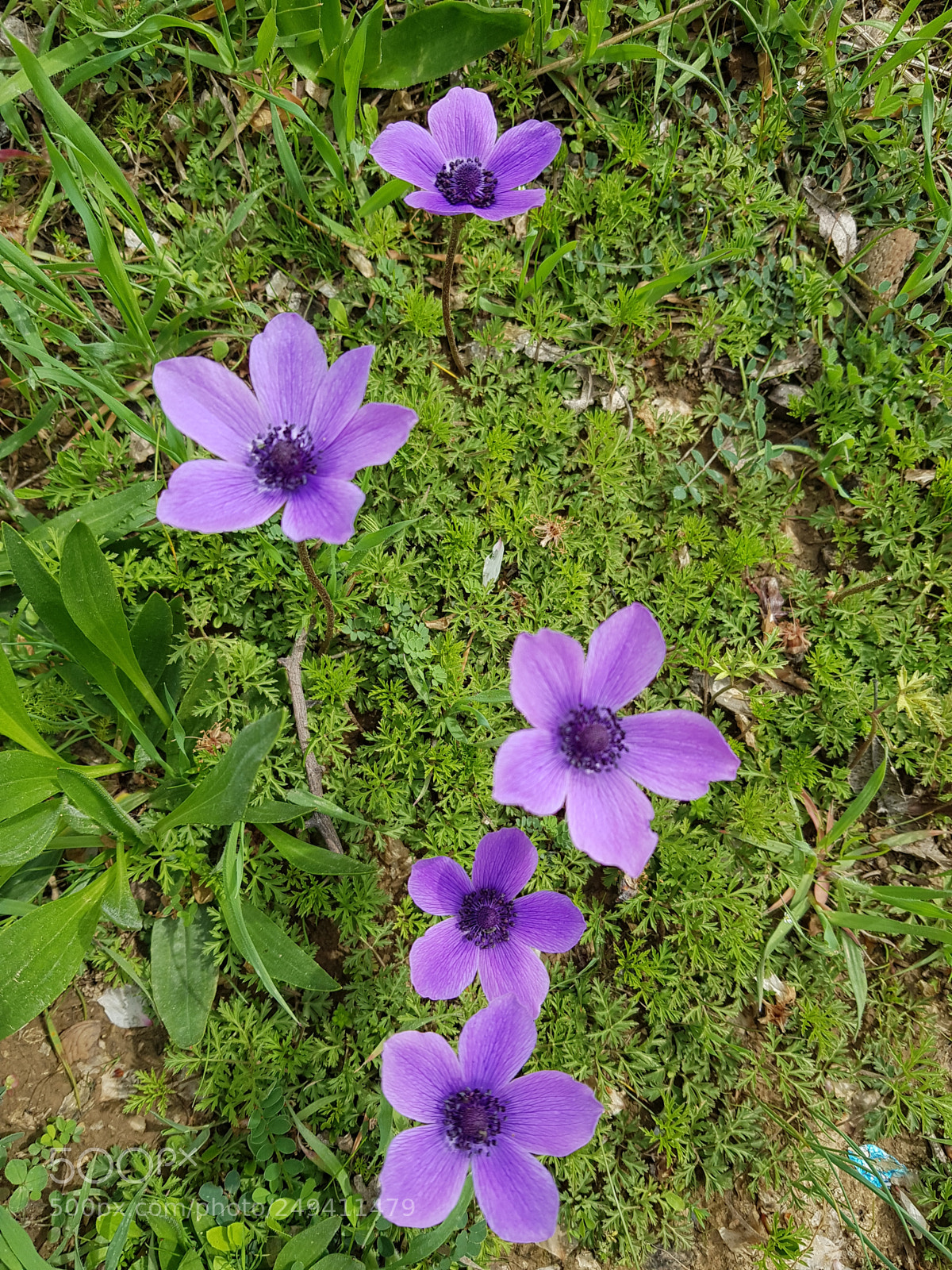 Samsung Galaxy S9+ sample photo. Untitled photography