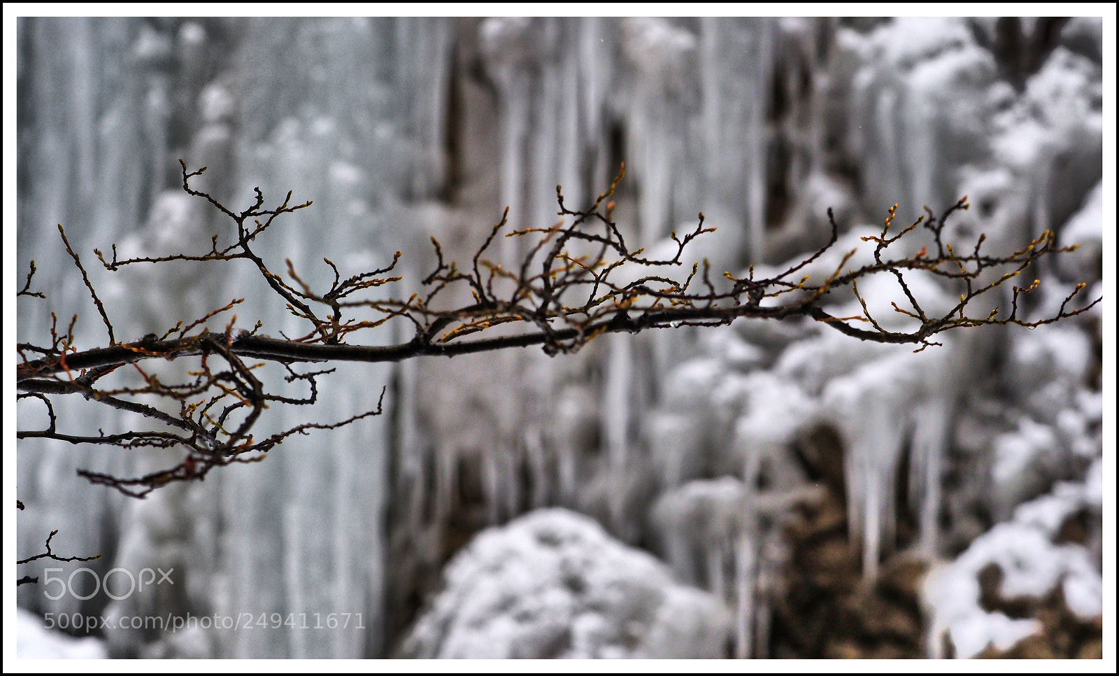 Olympus OM-D E-M1 Mark II sample photo. Frühling & winter photography