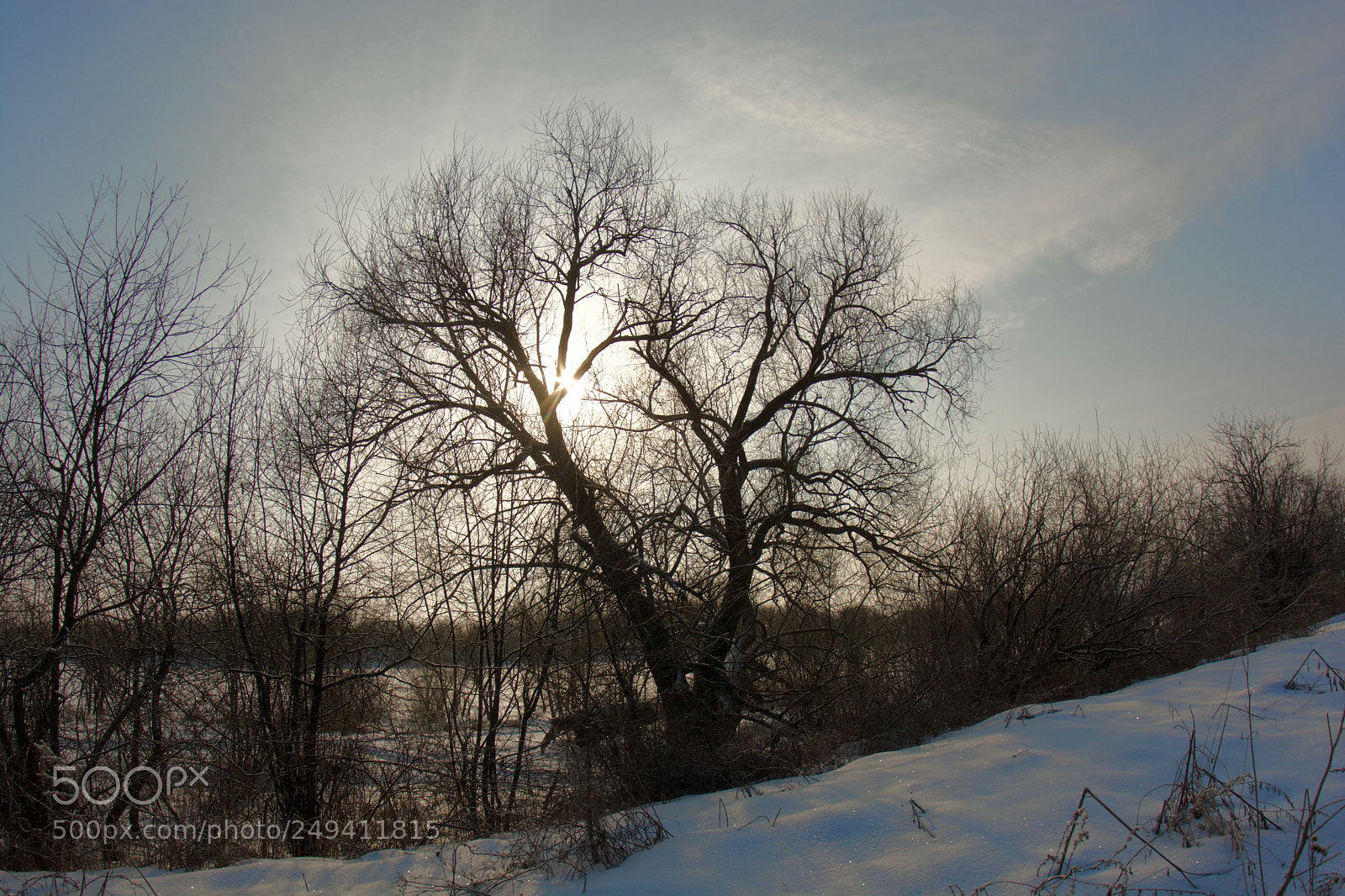 Nikon D7100 sample photo. 988_9395.jpg photography