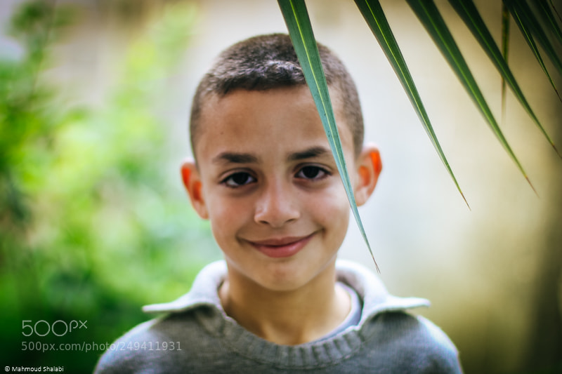 Canon EOS 70D sample photo. The boy with the photography