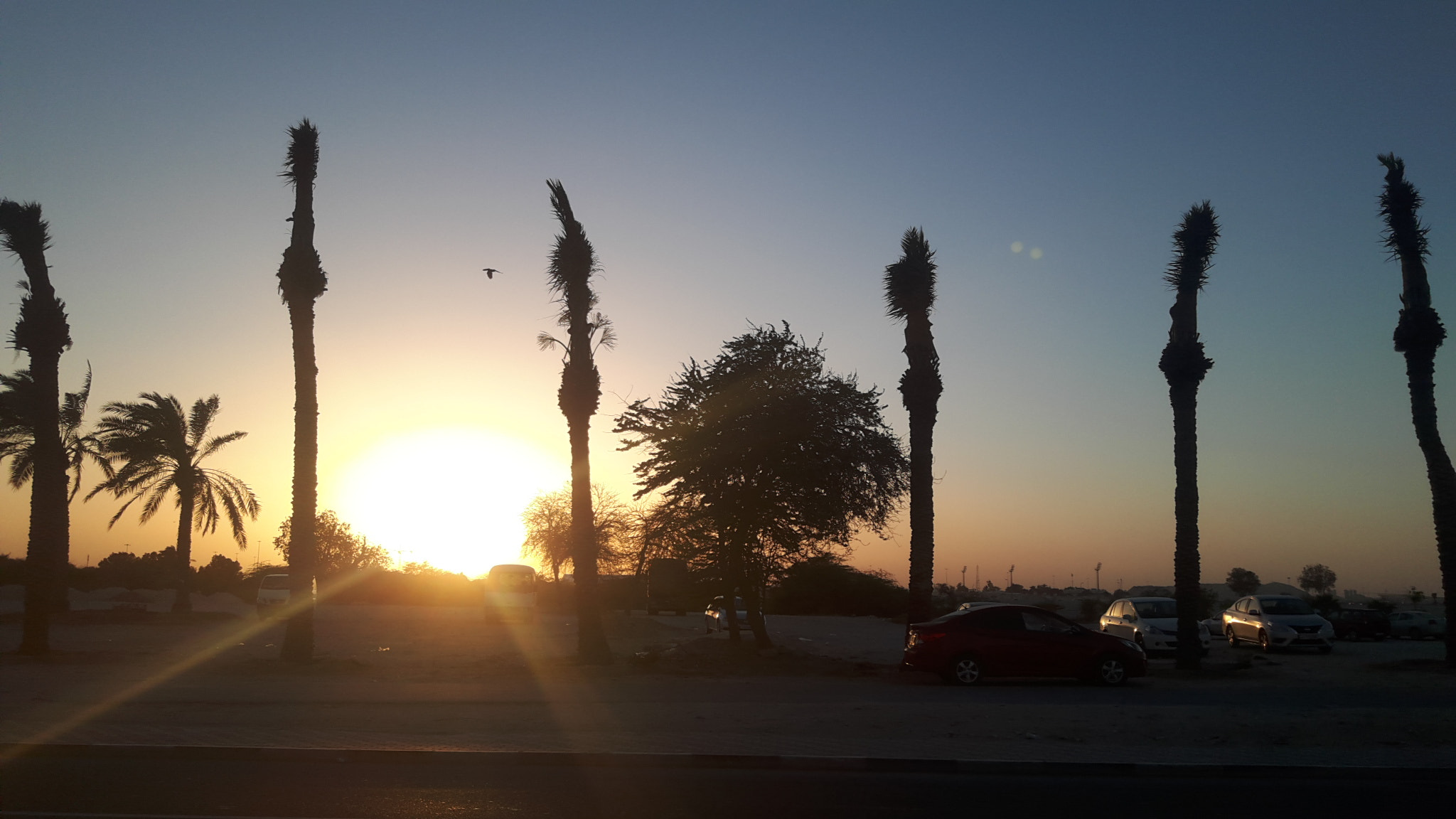 Samsung Galaxy A8 sample photo. Sunset photography