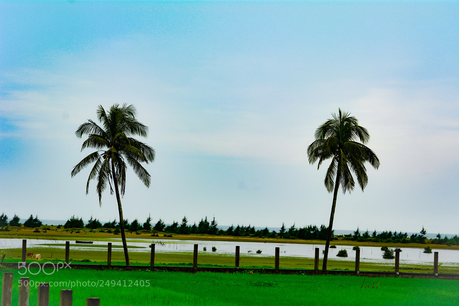 Nikon D5200 sample photo. Untitled photography
