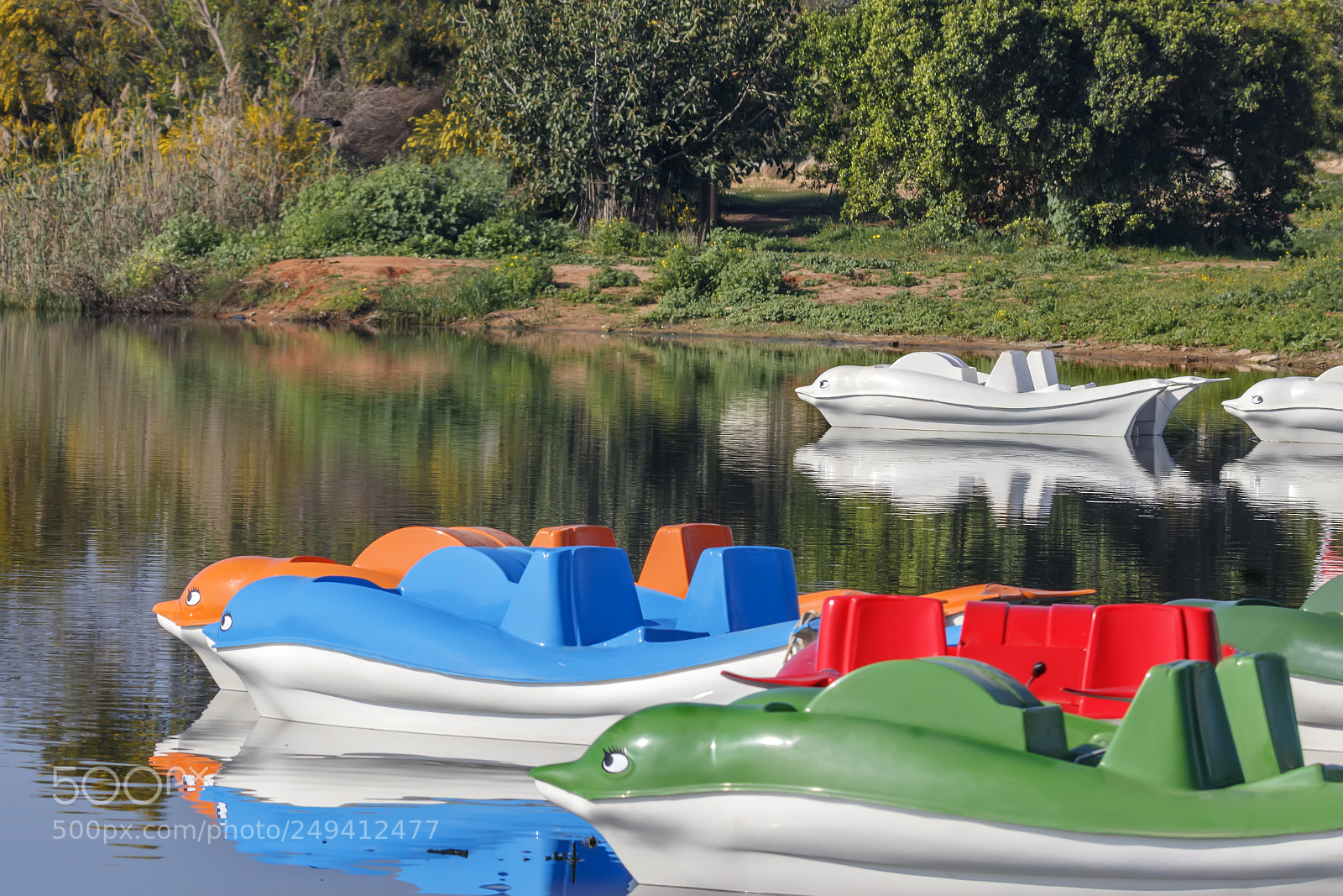 Canon EOS 80D sample photo. Multicolored catamarans are reflected photography