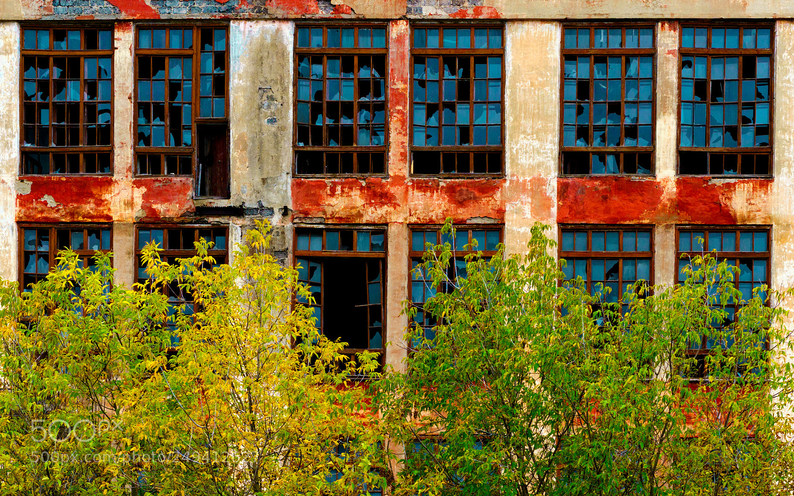 Sony a7R II sample photo. Murom 69. photography