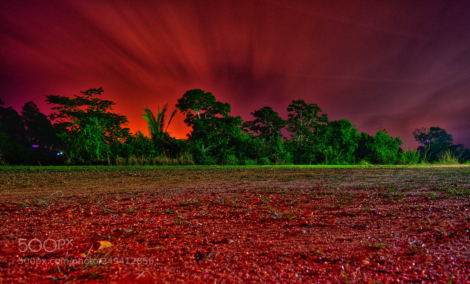 Nikon D7200 sample photo. Red night photography