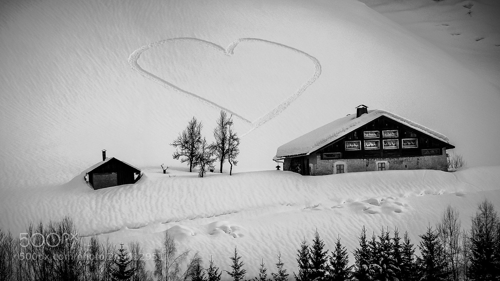 Fujifilm X-T1 sample photo. A heart in the photography
