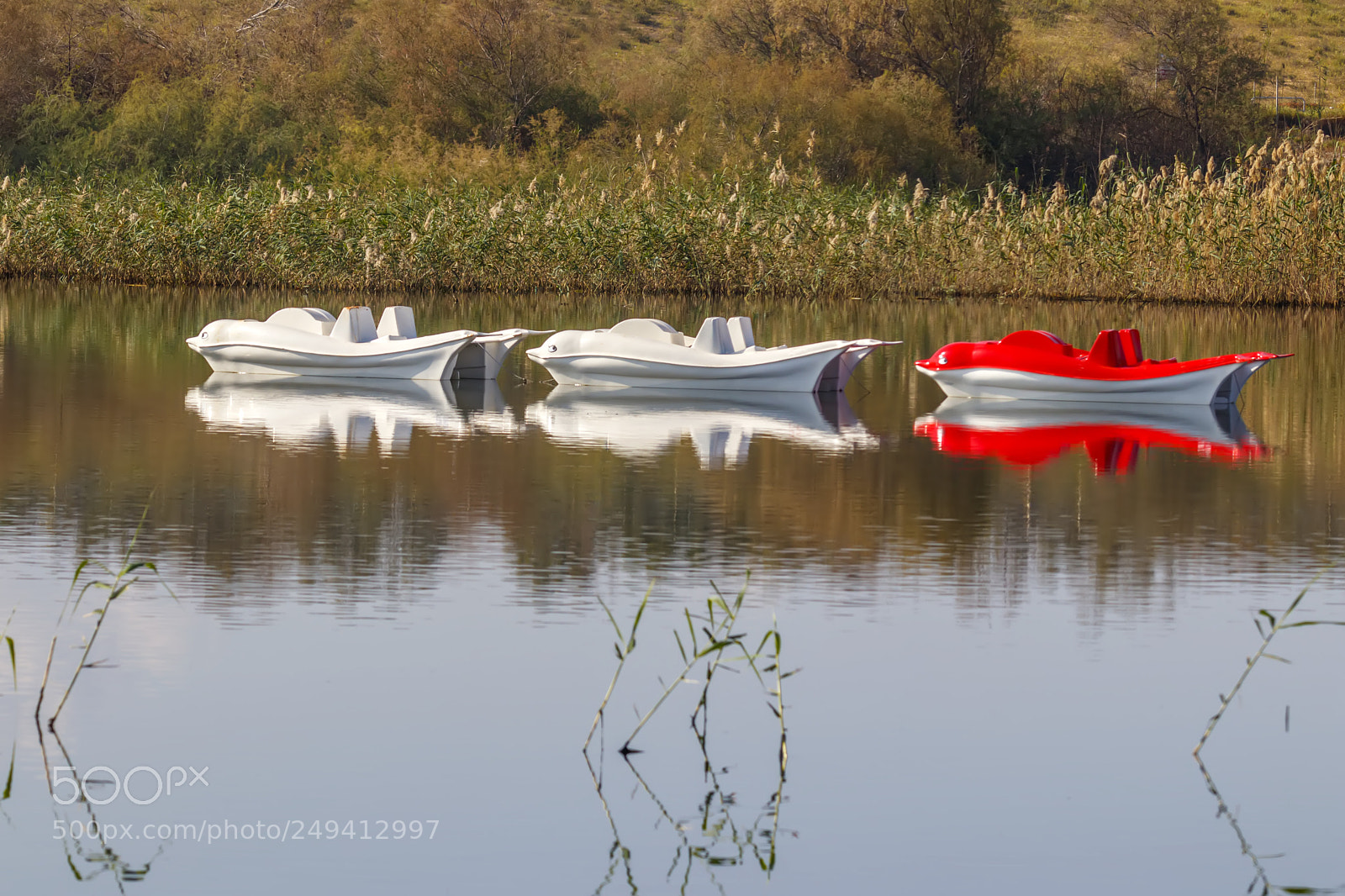 Canon EOS 80D sample photo. Reflection in the water photography