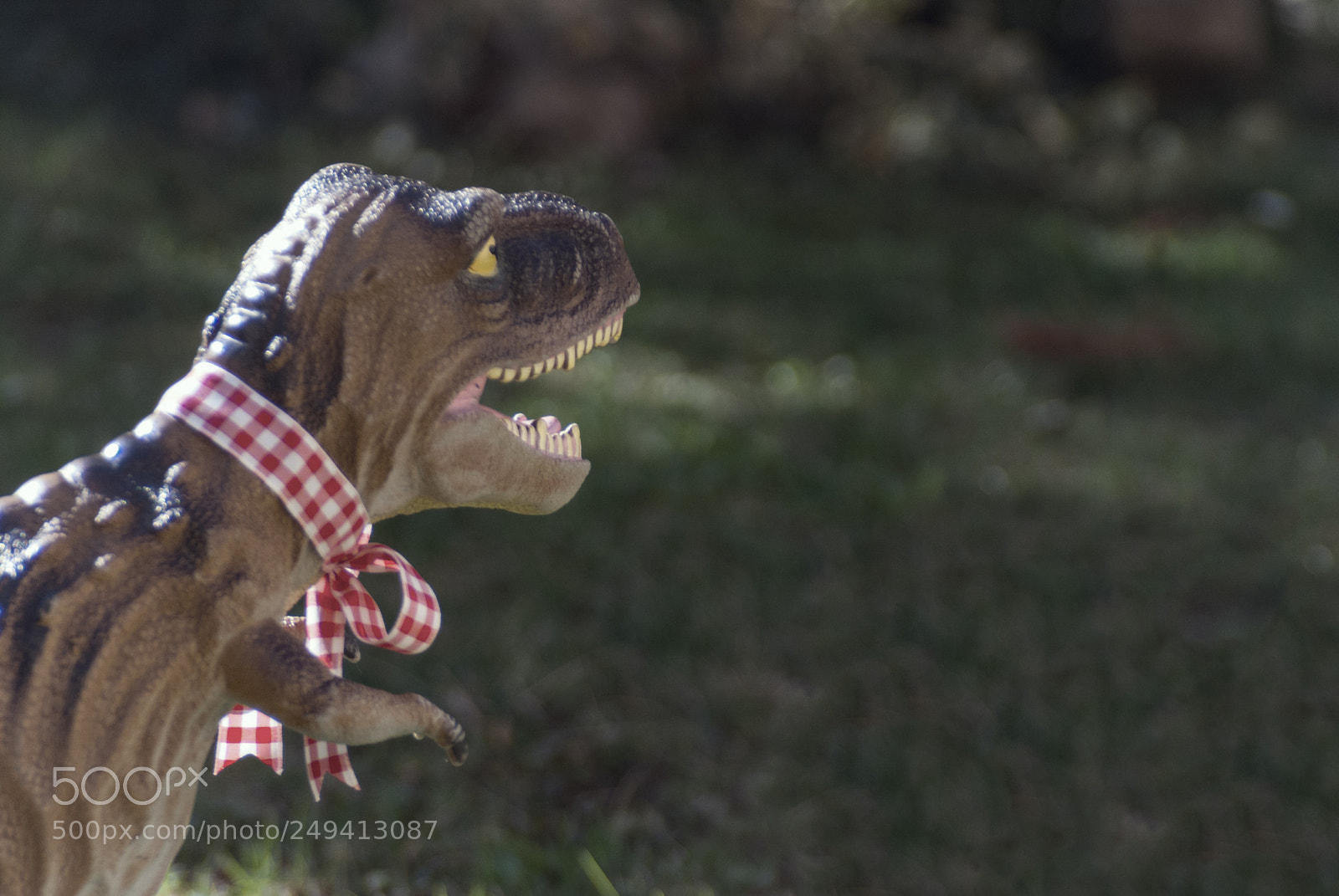 Sony Alpha DSLR-A200 sample photo. We all have something photography