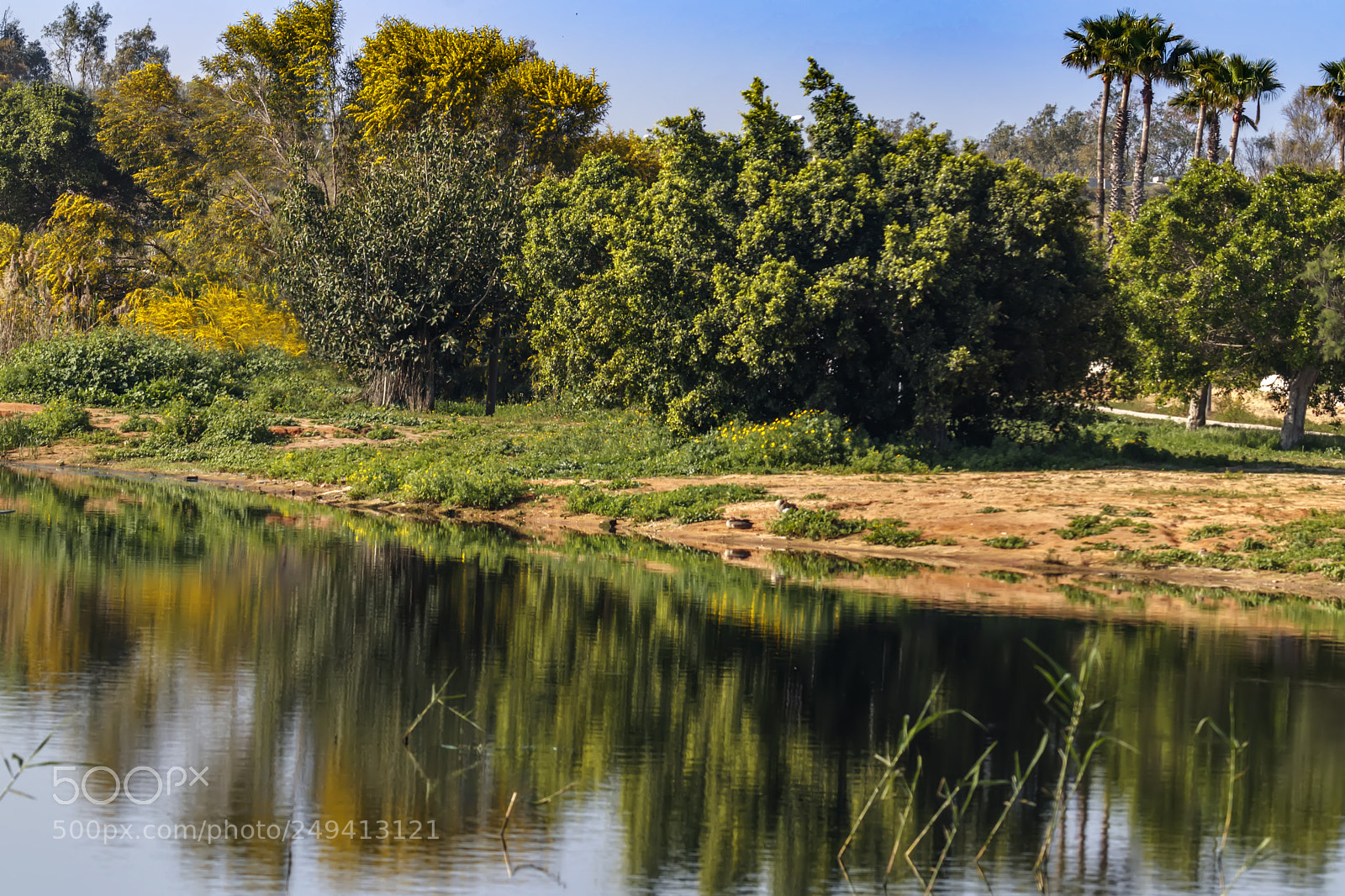 Canon EOS 80D sample photo. Reflection in the water photography