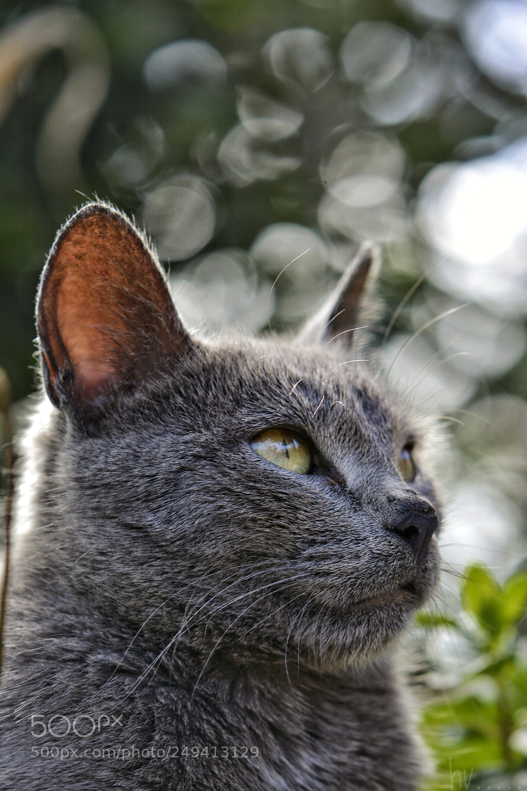 Nikon D7100 sample photo. Untitled photography