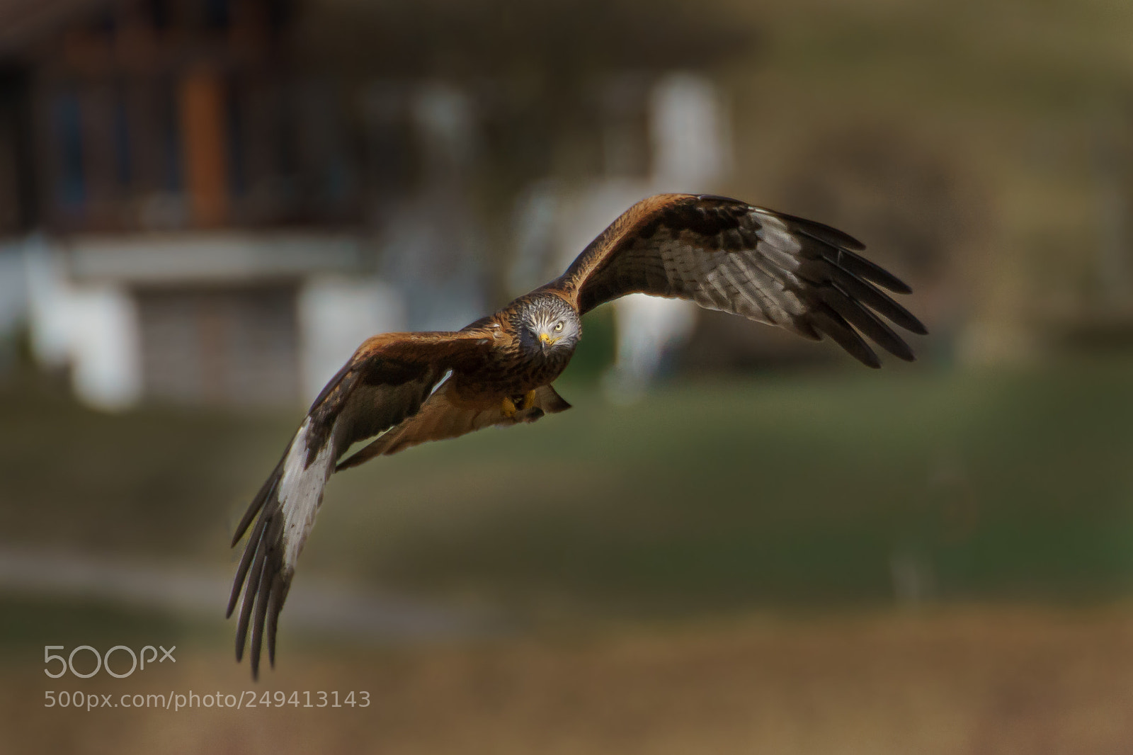 Sony ILCA-77M2 sample photo. In flight photography