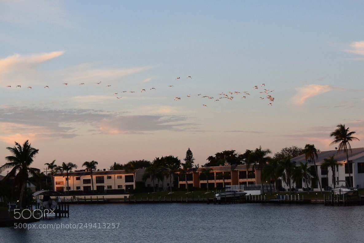 Nikon D5300 sample photo. Canal living photography