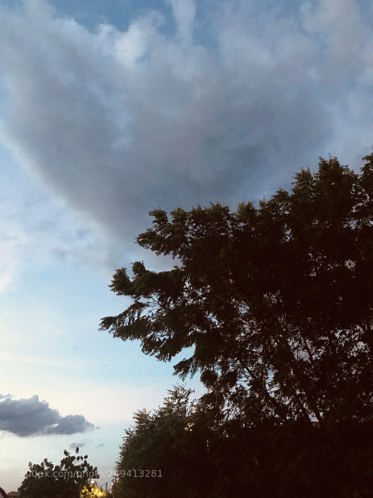 Apple iPhone 7 Plus sample photo. Nature life + sunset photography