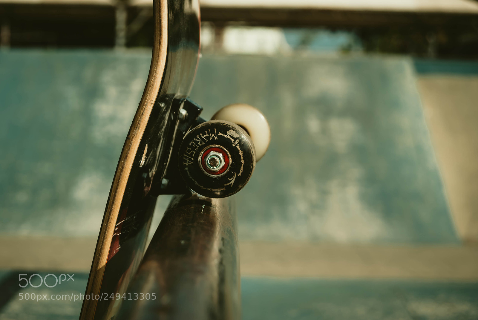 Sony Alpha DSLR-A230 sample photo. On focus photography