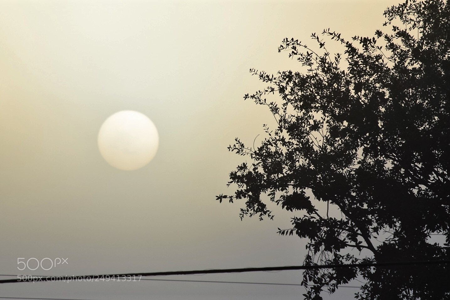 Nikon D5300 sample photo. Sunrise behind morning fog photography