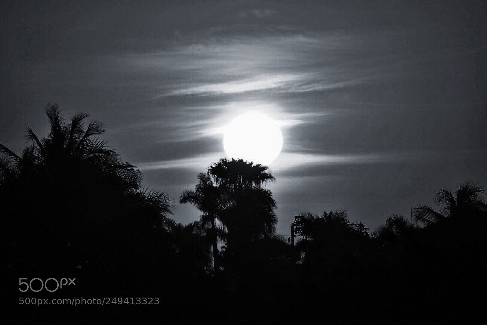 Nikon D5300 sample photo. Mystic sunrise photography