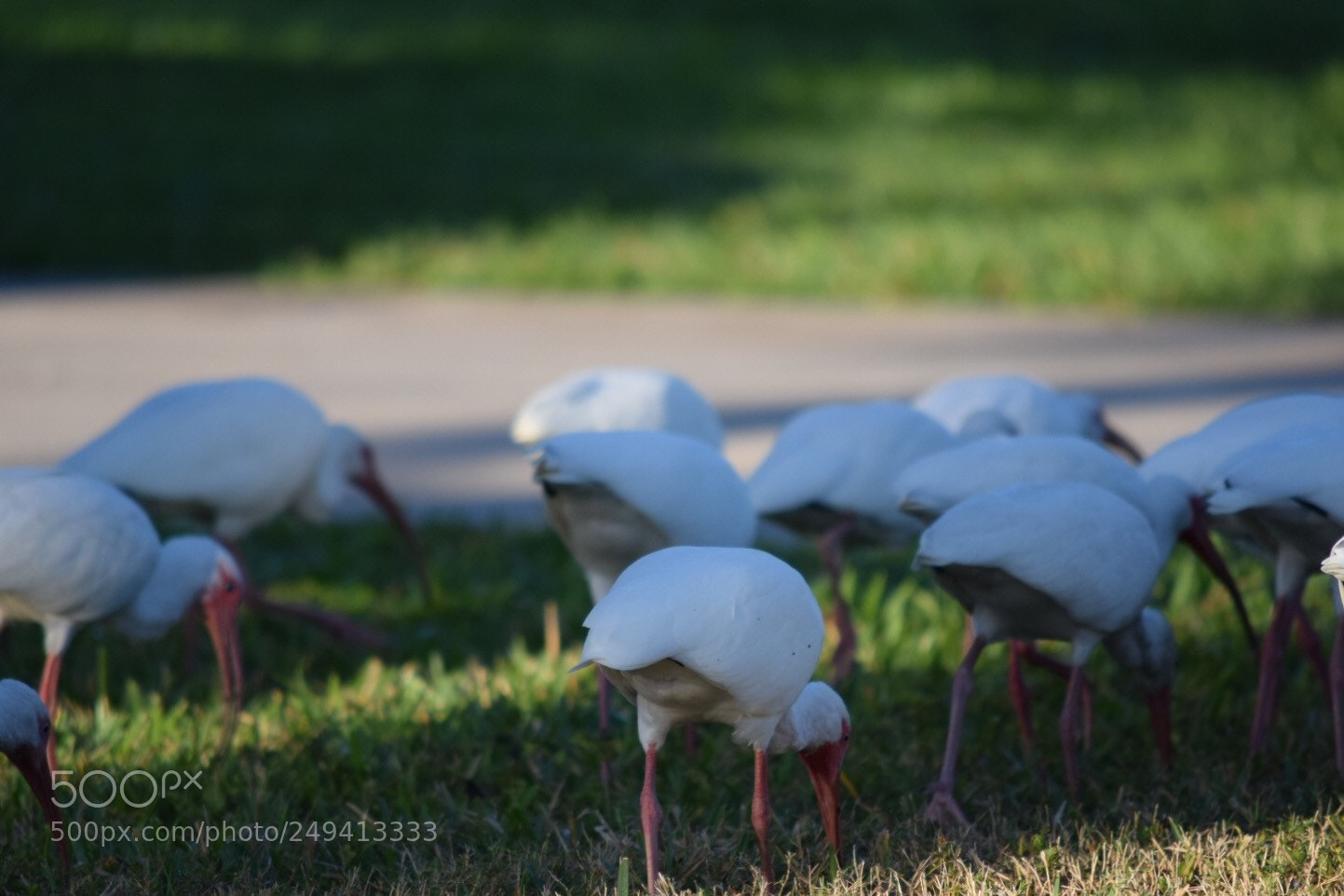 Nikon D5300 sample photo. 2018-02-18 08-01-15 900.jpeg photography