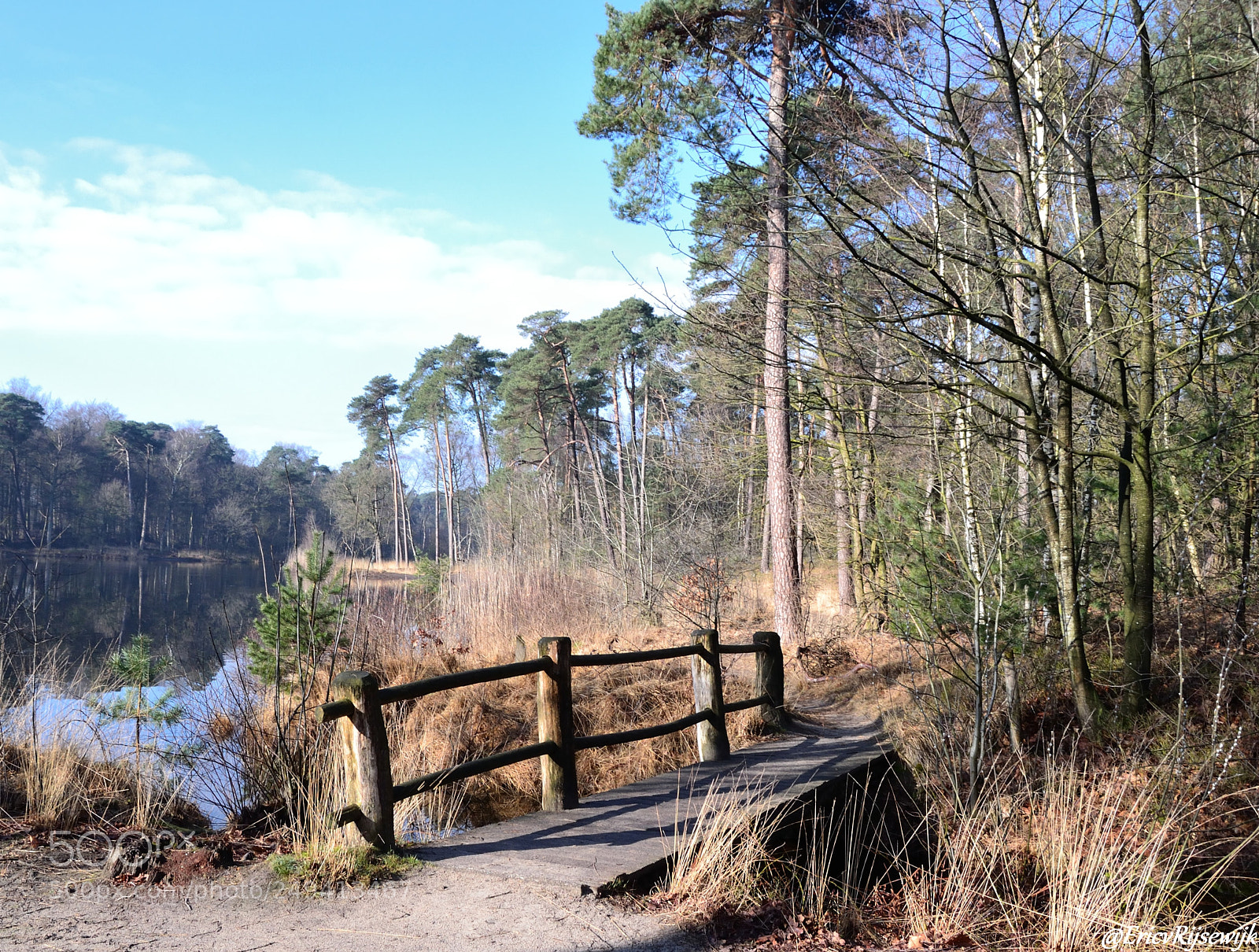 Nikon D3100 sample photo. Witven, oisterwijk photography
