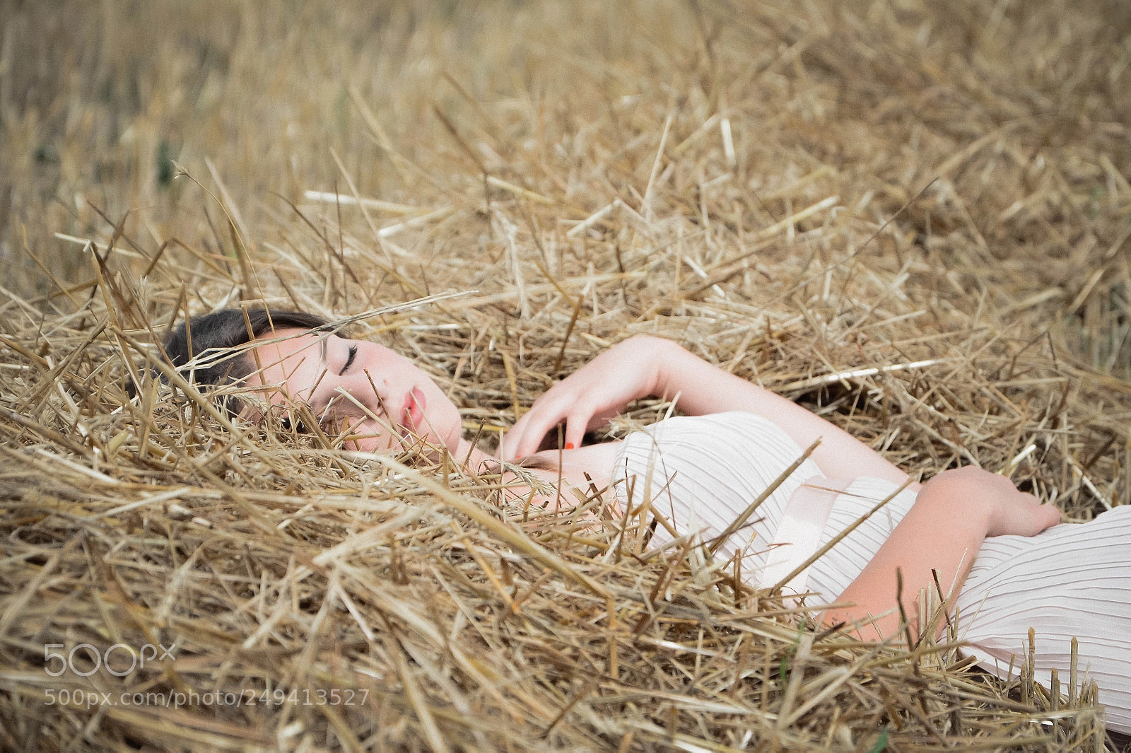 Nikon D5100 sample photo. Untitled photography