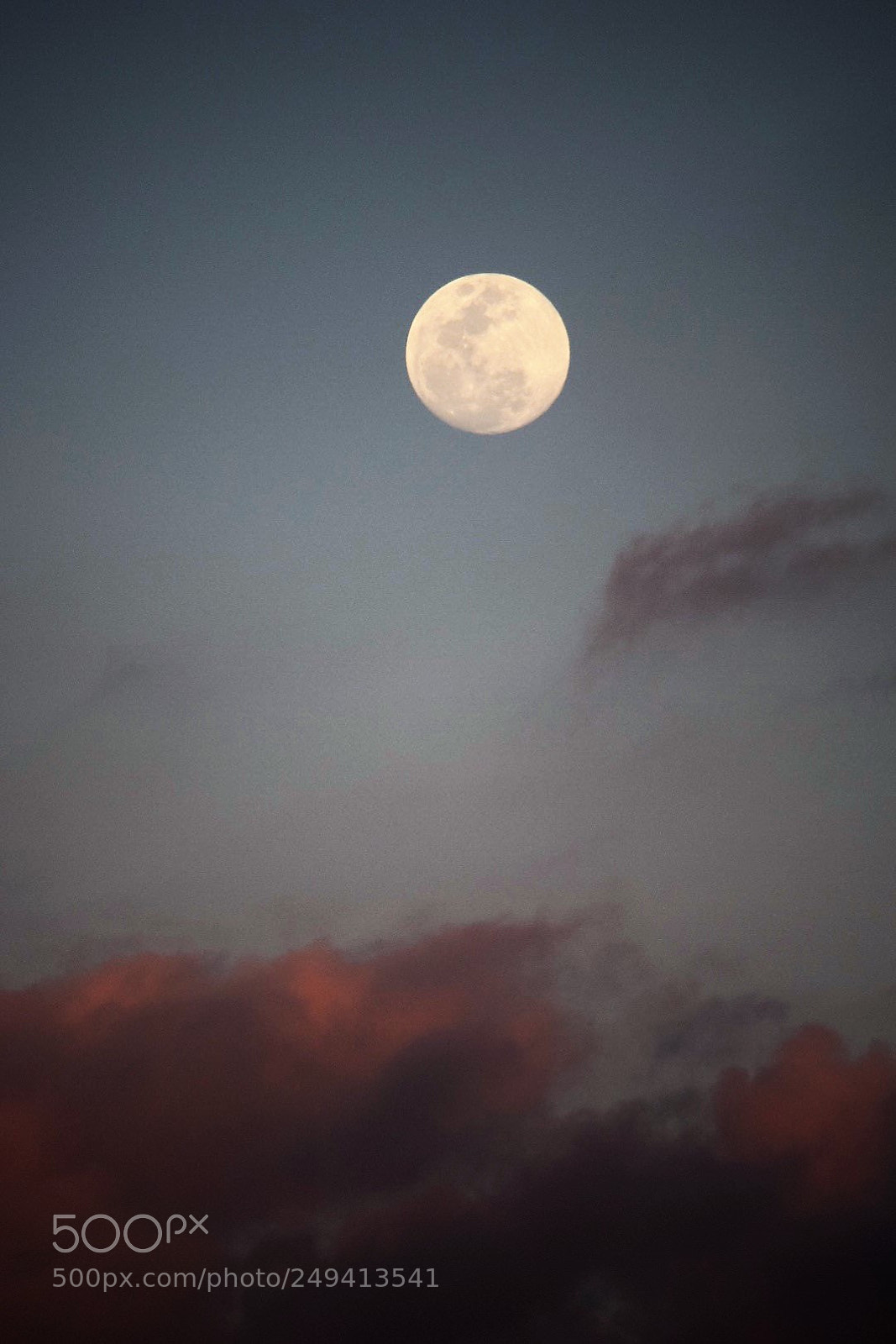 Nikon D5300 sample photo. Blue moon photography