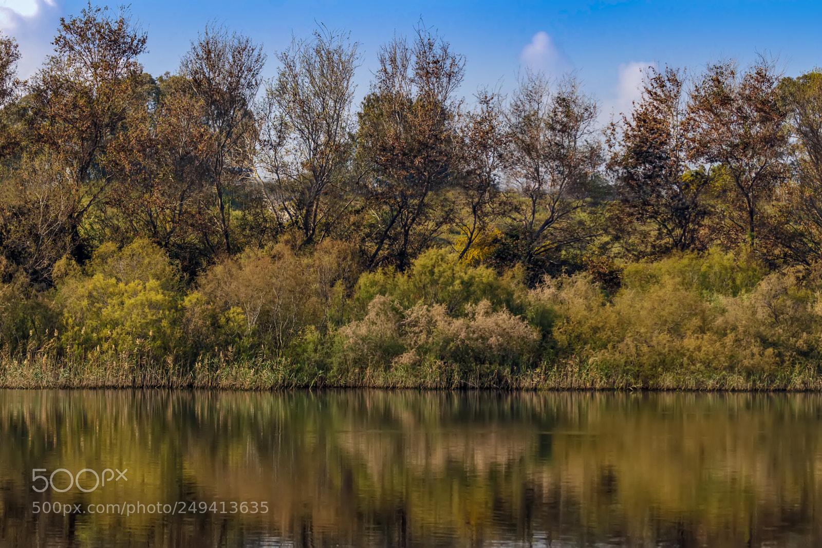 Canon EOS 80D sample photo. Landscape reflection of a photography