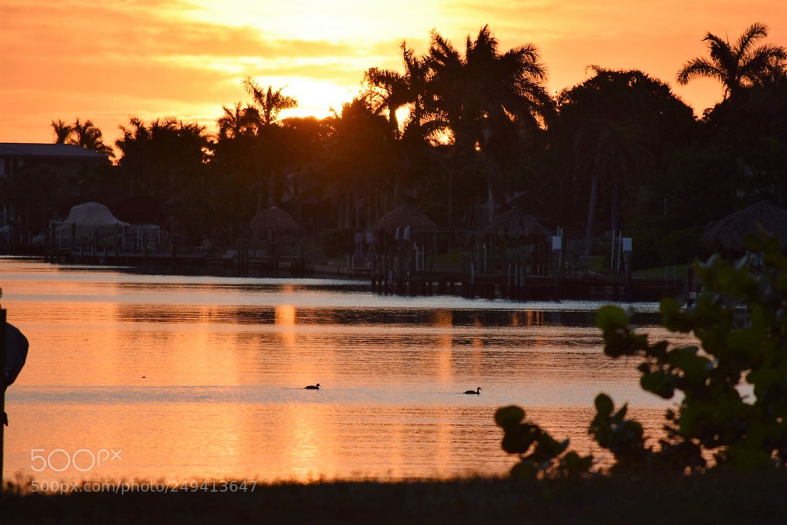 Nikon D5300 sample photo. Sunrise with ducks photography
