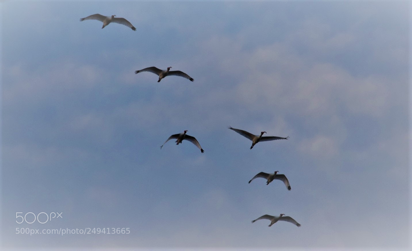 Nikon D5300 sample photo. 2018-03-09 06-54-57 000.jpeg photography