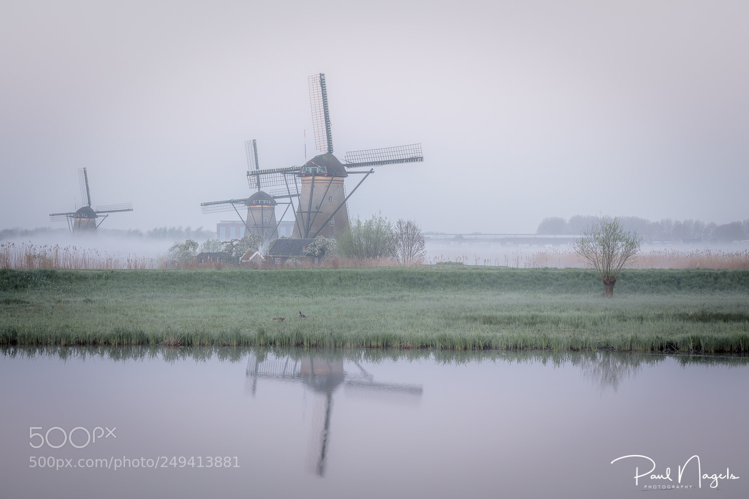 Canon EOS 5DS R sample photo. Foggy photography