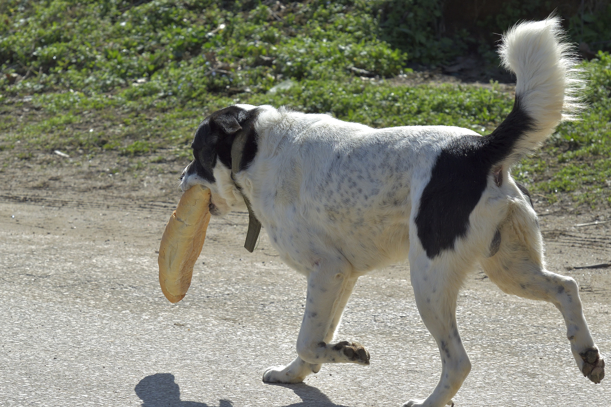 Nikon D3200 sample photo