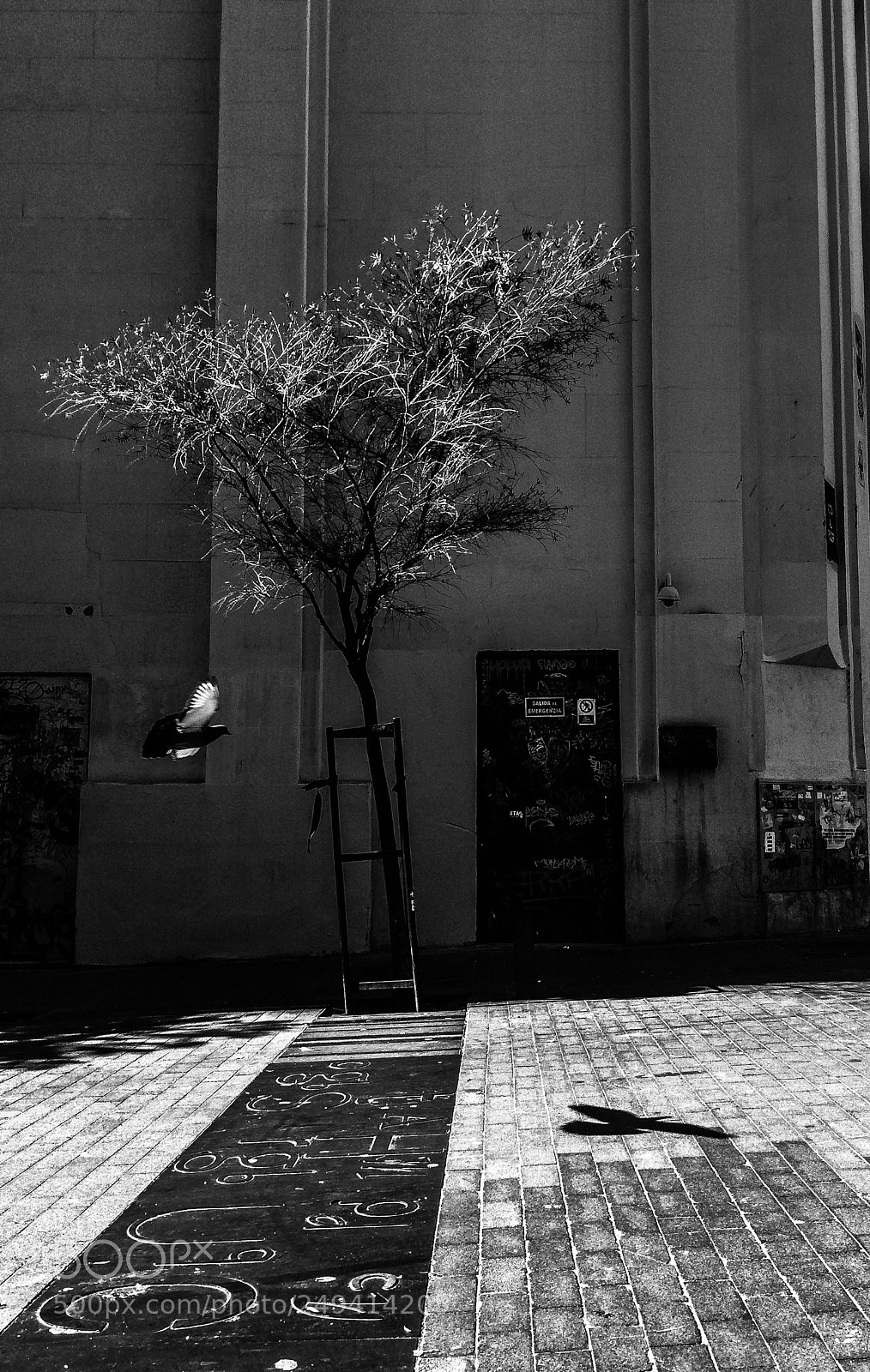 Apple iPhone 5s sample photo. Vuelo photography