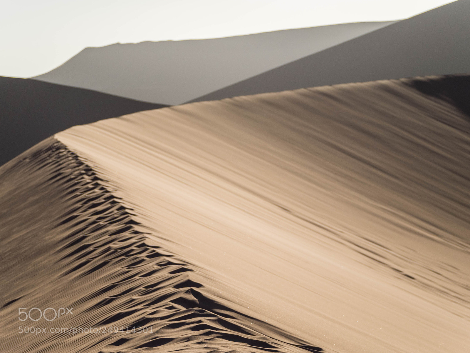 Olympus OM-D E-M1 sample photo. Velvet dunes photography