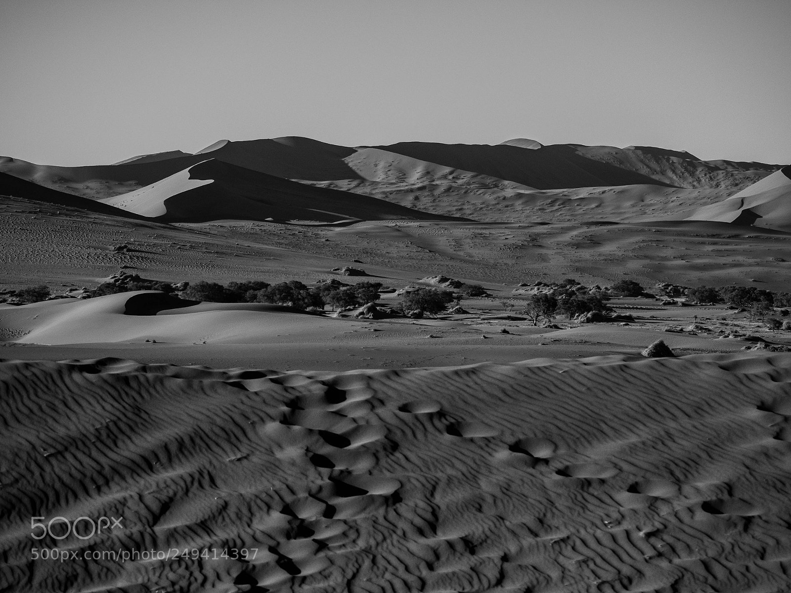 Olympus OM-D E-M1 sample photo. Mystic desert photography