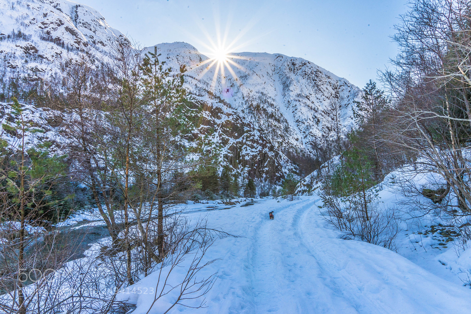 Sony a7 II sample photo. The first sunlight photography