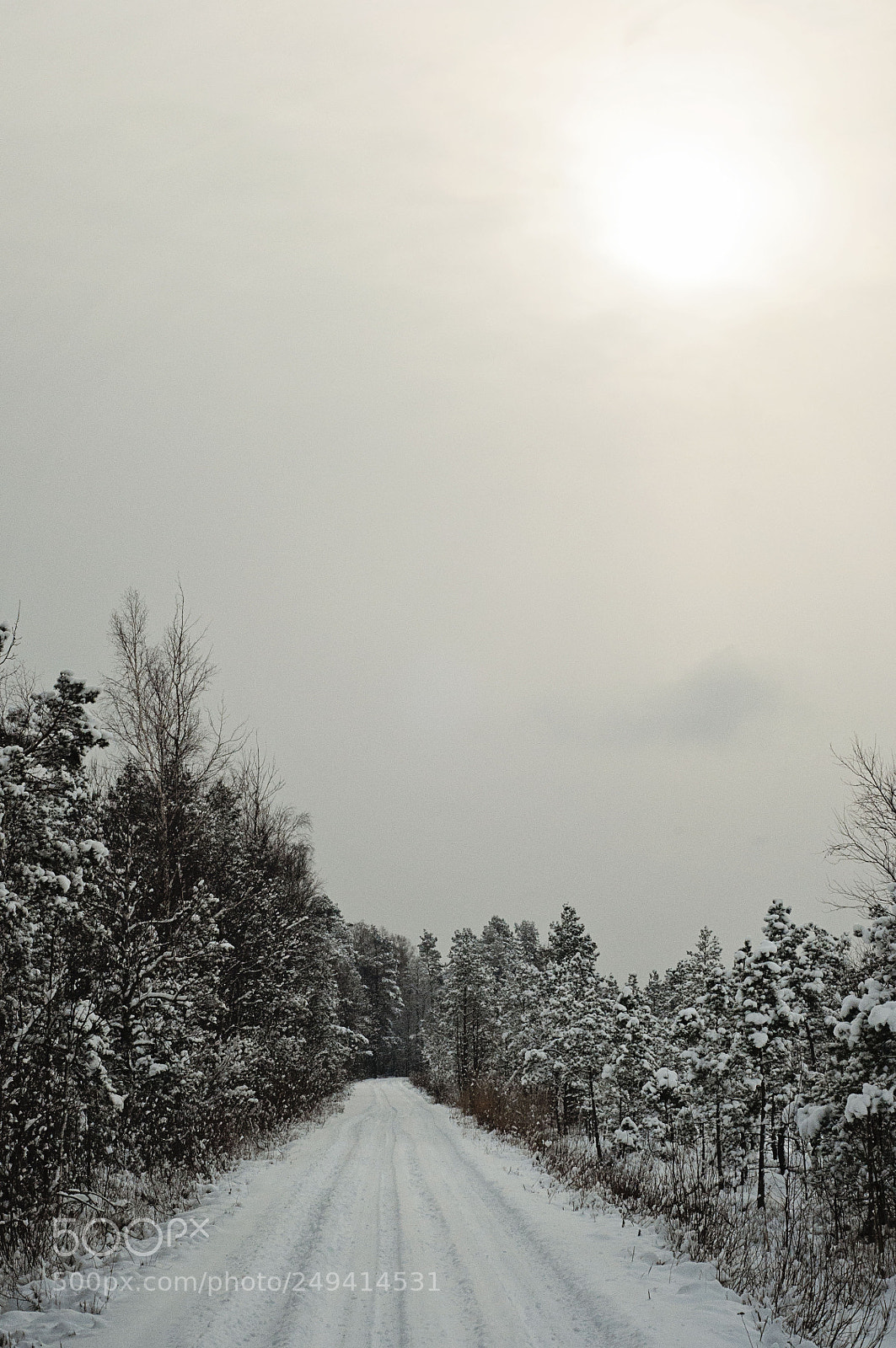 Nikon D90 sample photo. Going home photography