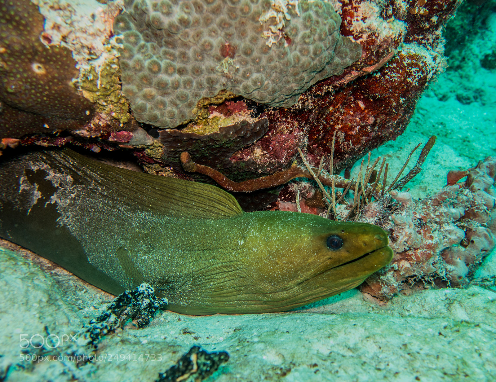 Sony Cyber-shot DSC-RX100 III sample photo. Scuba in the mexican photography