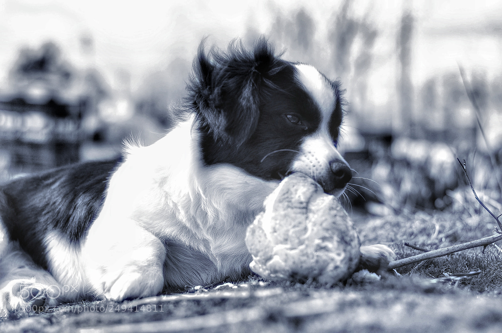 Nikon D5000 sample photo. Untitled photography