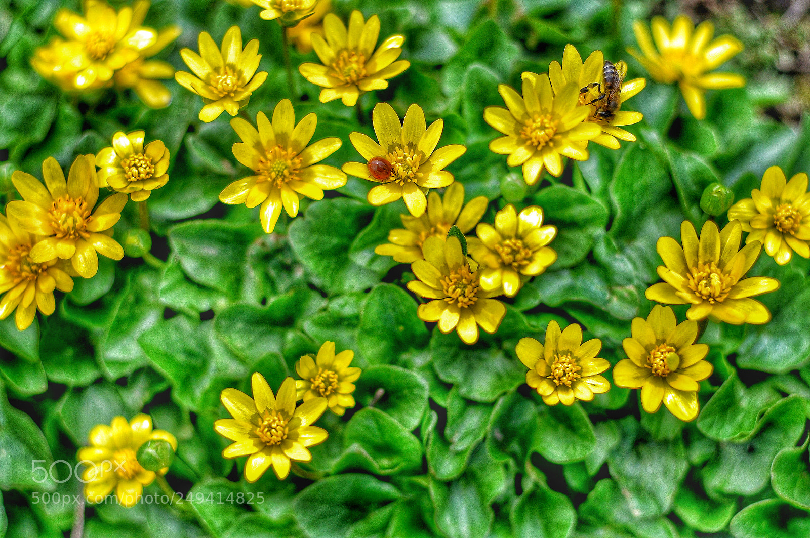 Nikon D5000 sample photo. Untitled photography