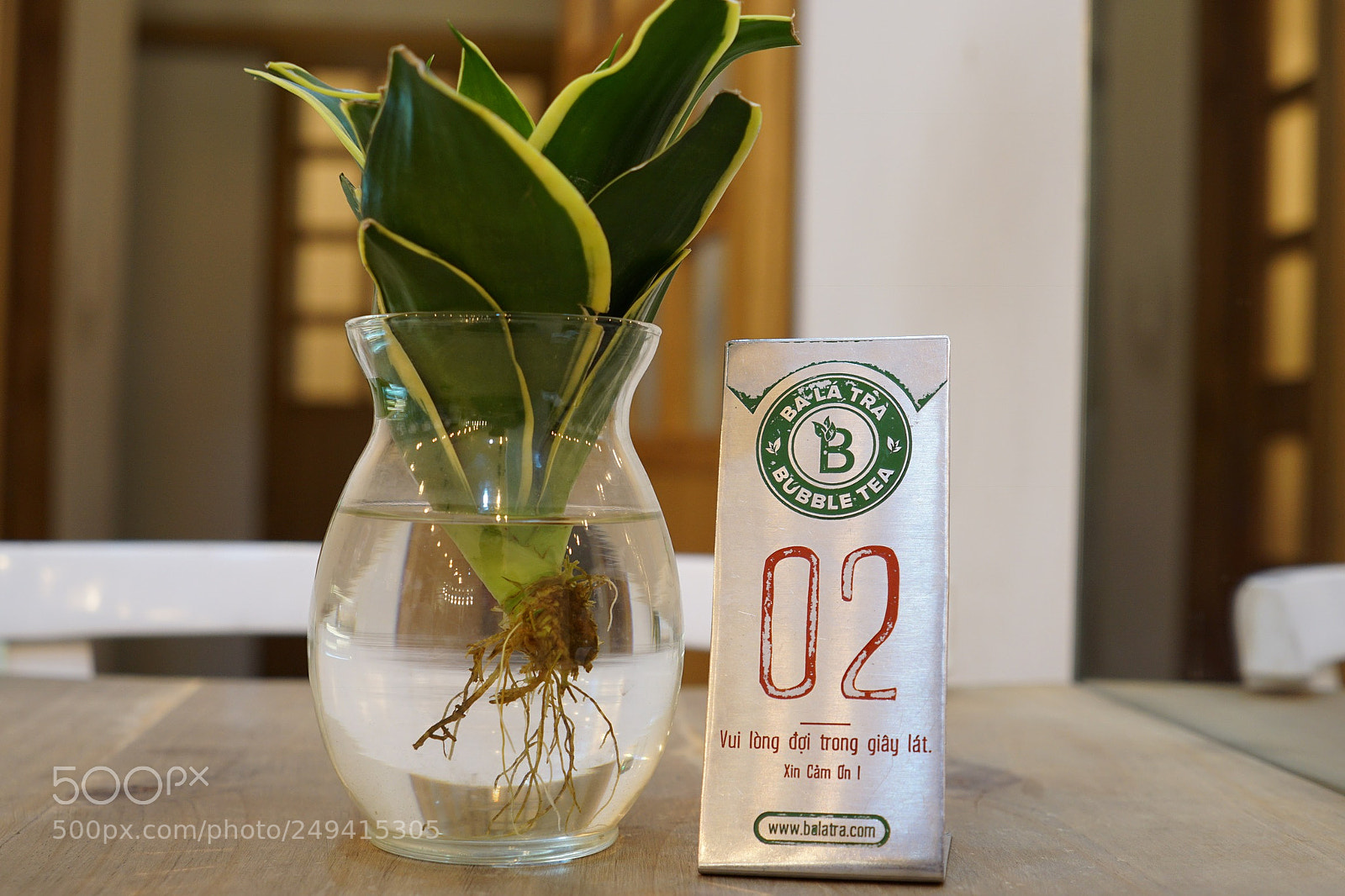 Sony a6000 sample photo. Cant wait for my photography
