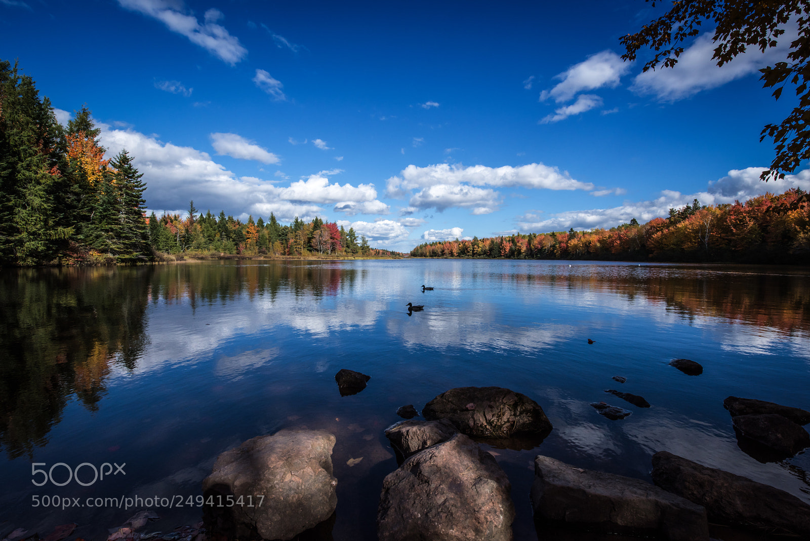 Nikon D810 sample photo. Irish town park nb photography