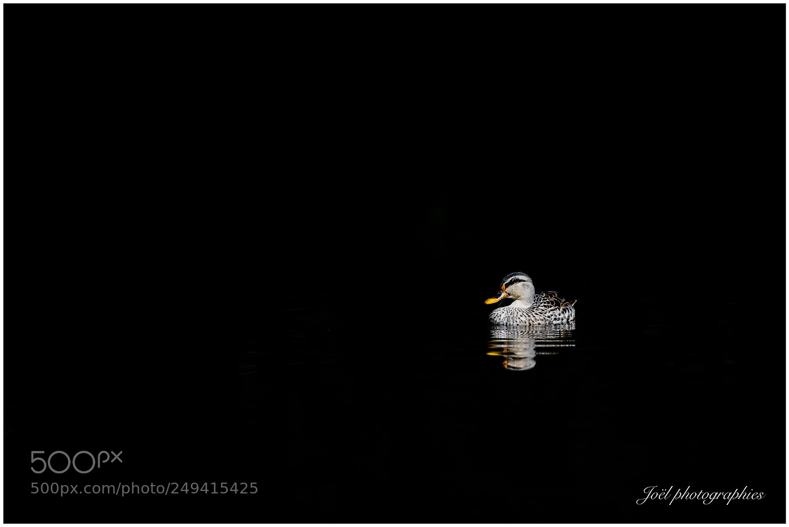 Nikon D810 sample photo. Untitled photography