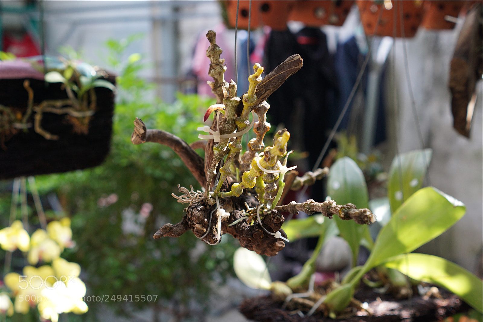 Sony a6000 sample photo. My father s plan photography