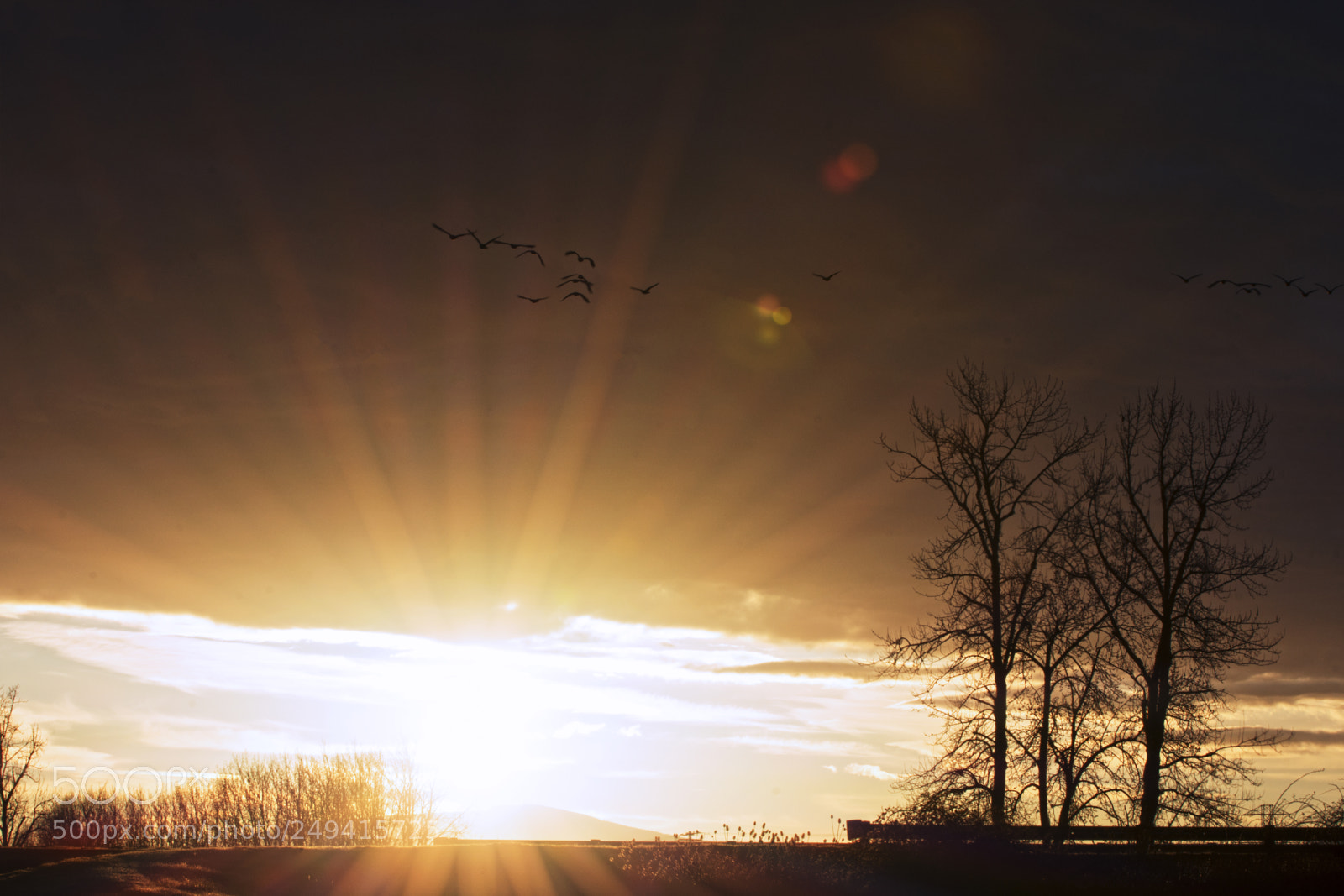 Nikon D7200 sample photo. Sun burst 2 photography