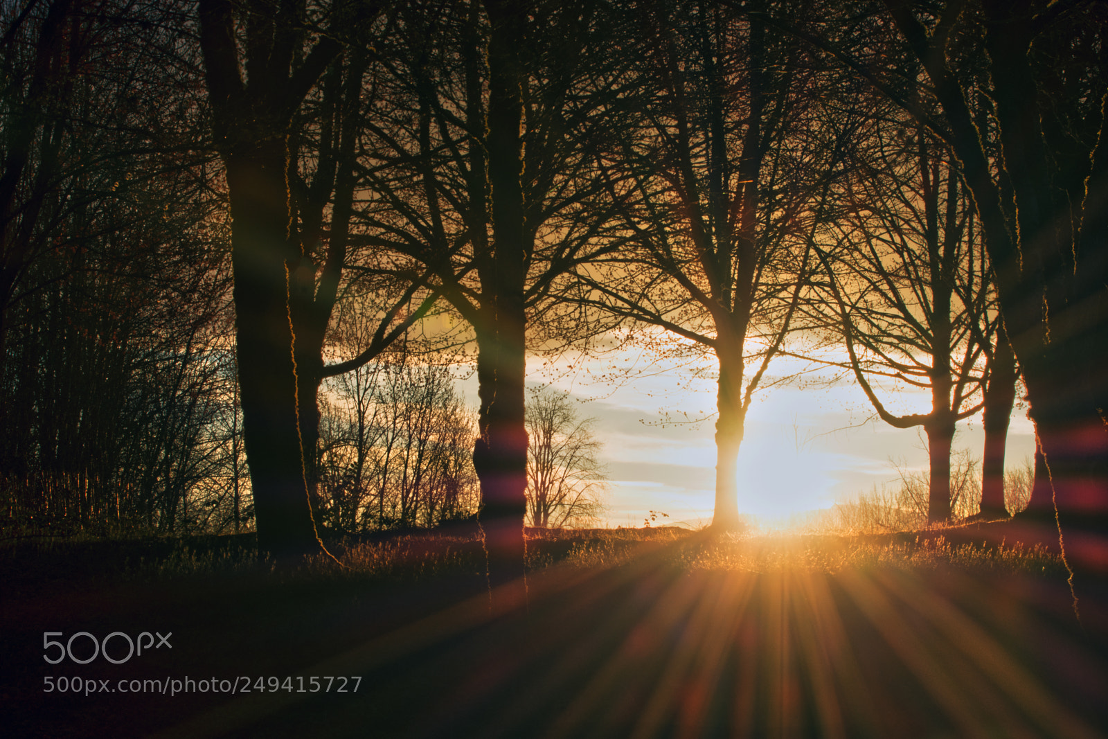 Nikon D7200 sample photo. Sun burst 1 photography