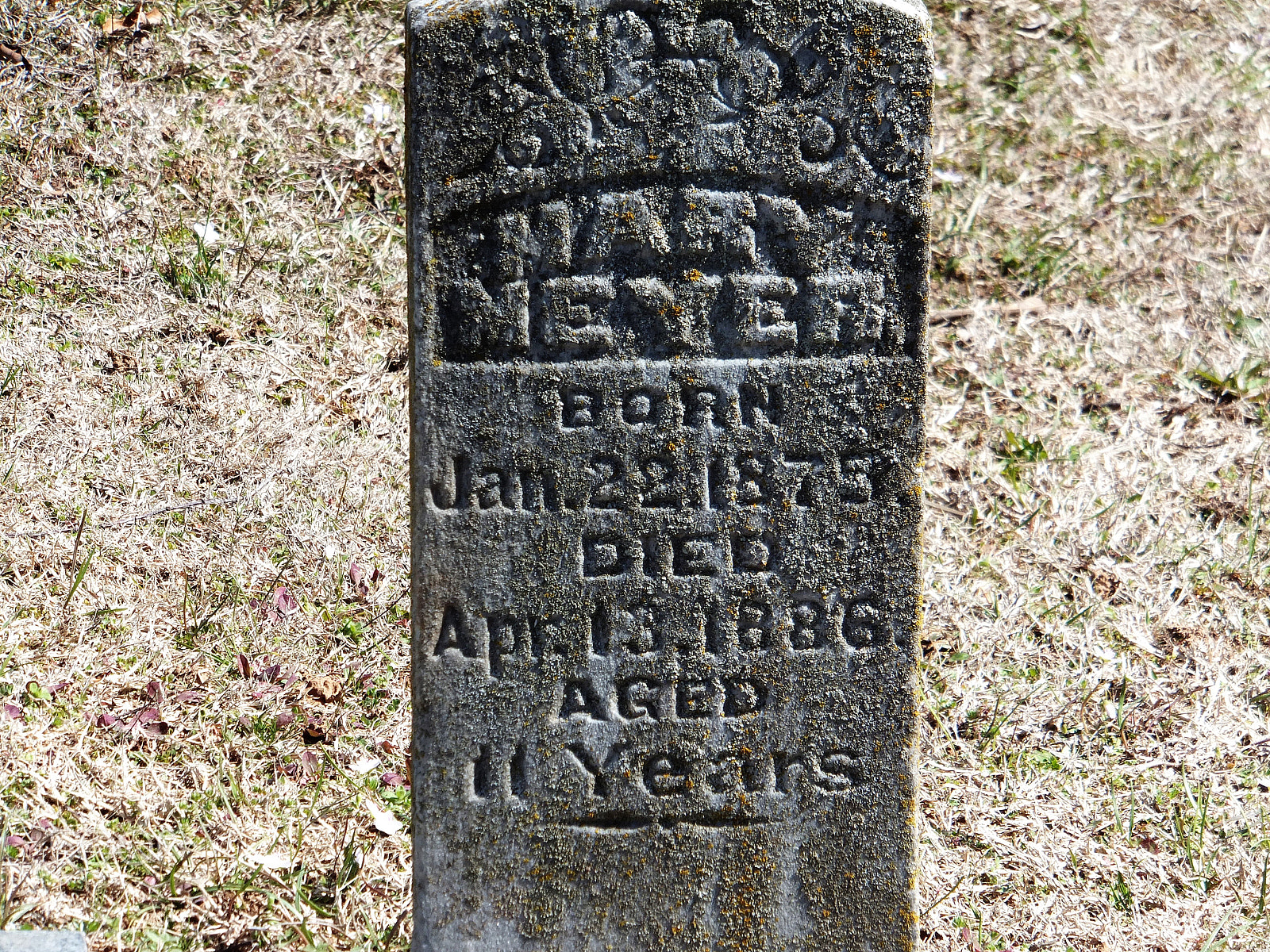 Fujifilm FinePix F750EXR sample photo. Forest park cemetery memorials photography
